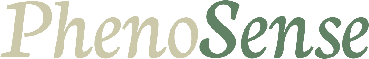 Website Logo